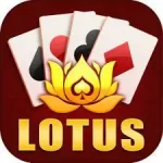 Happy Lotus Rummy App logo